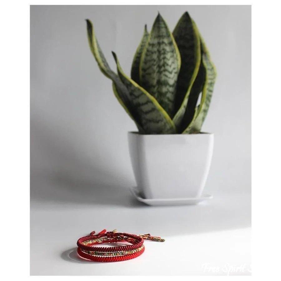 Tibetan Buddhist Handmade Lucky Knots Bracelet - Image 5