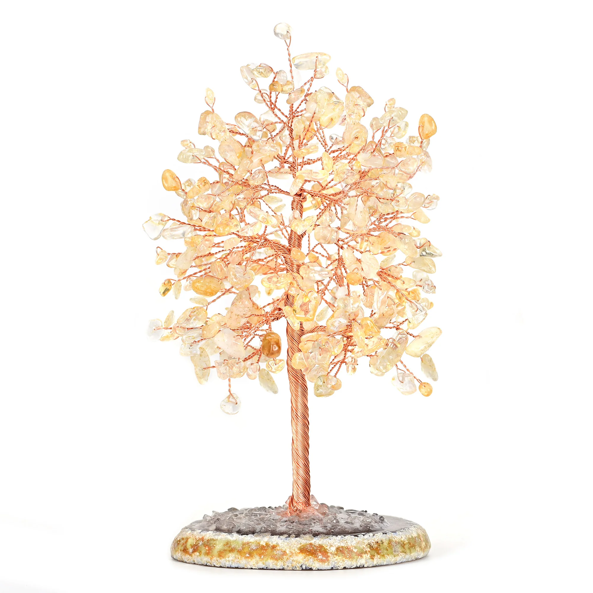 Tree of Life Bundle - Image 4