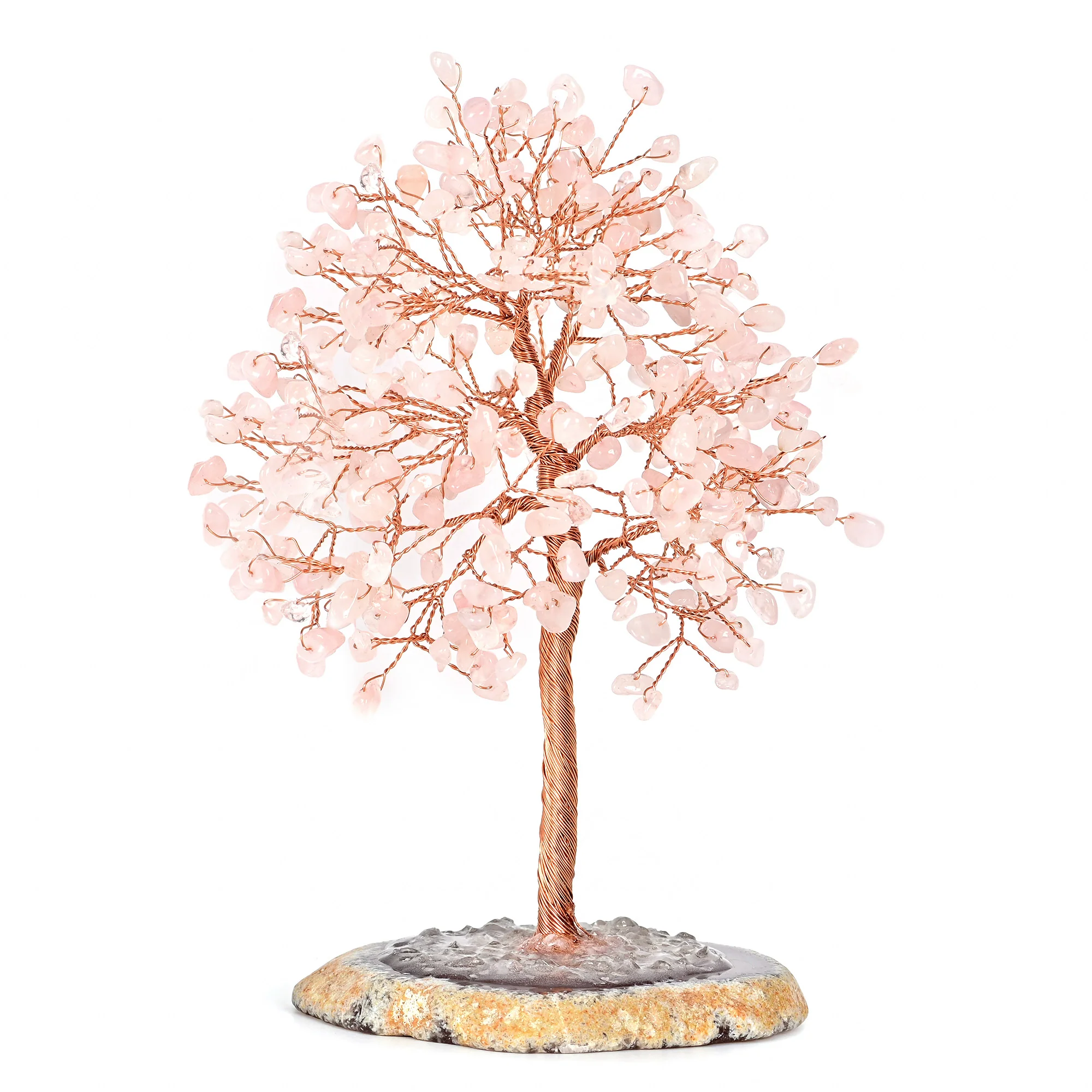 Tree of Life Bundle - Image 5