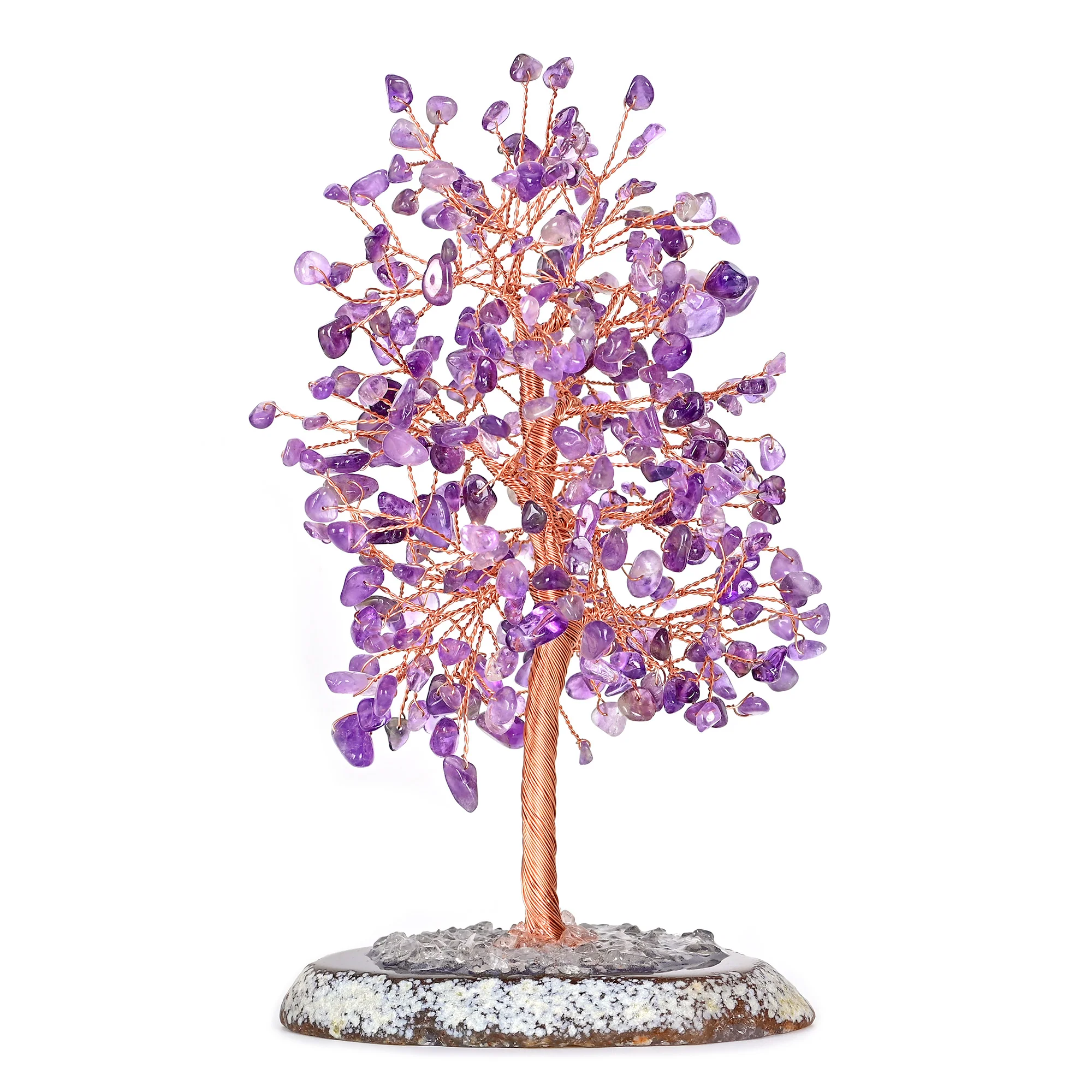 Tree of Life Bundle - Image 7